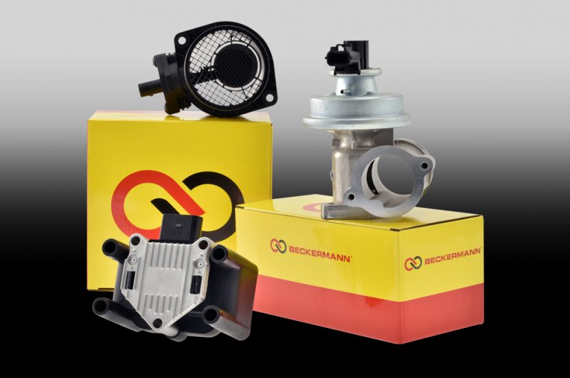 Beckermann-EMS-Group-1-830x551