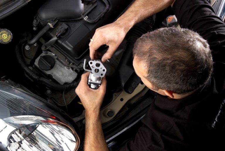 EGR Valve Issues
